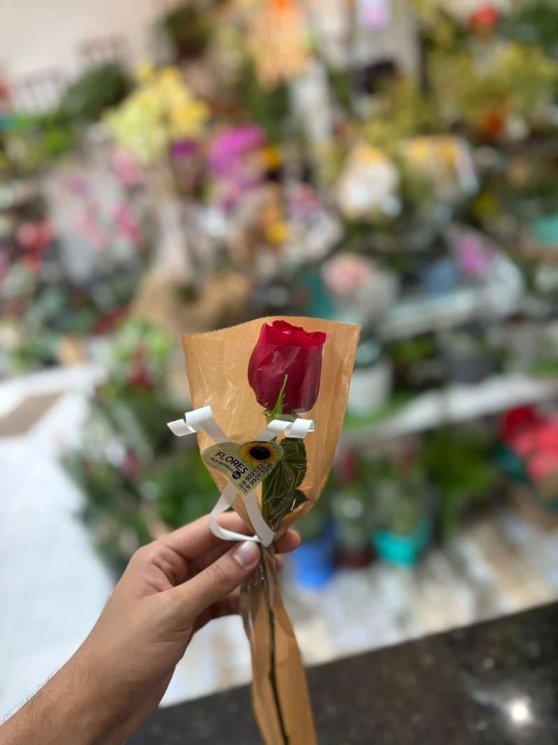 Rosa Nacional Decorada