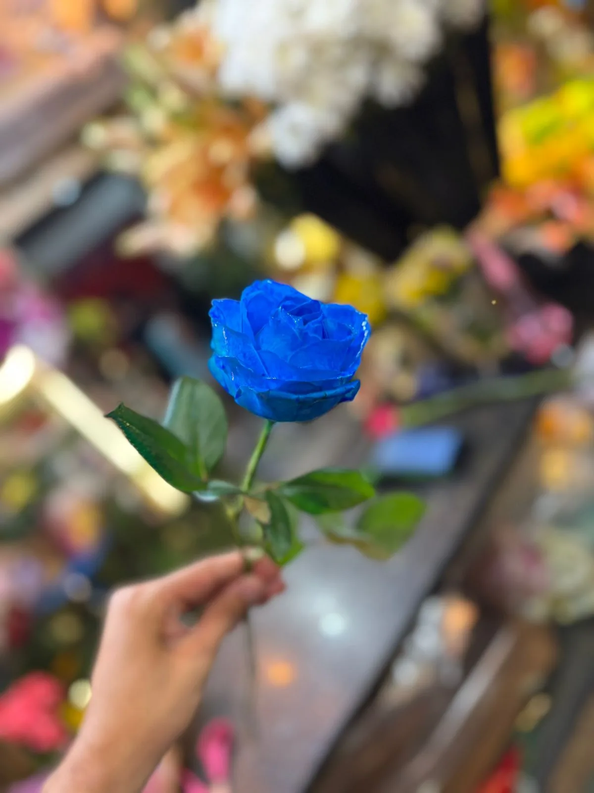 Rosa Nacional Colorida (Galho sem decorar)