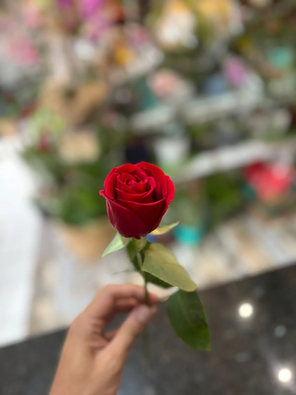Rosa Nacional vermelha (Galho sem decorar)